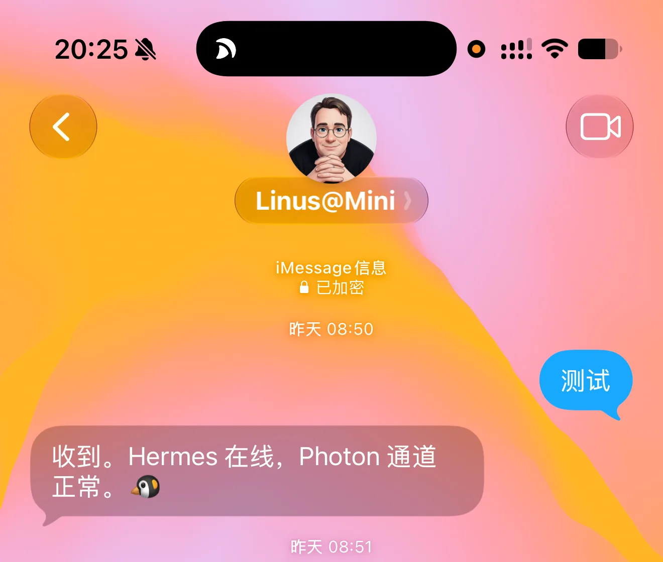 iMessage 中的 Hermes 测试对话